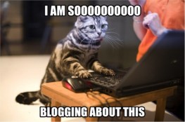 blogging-cat